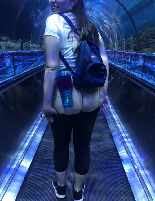 [F] theme park days 💙