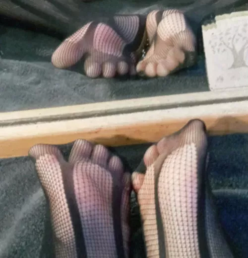 (F) these are my favorite socks 🦋