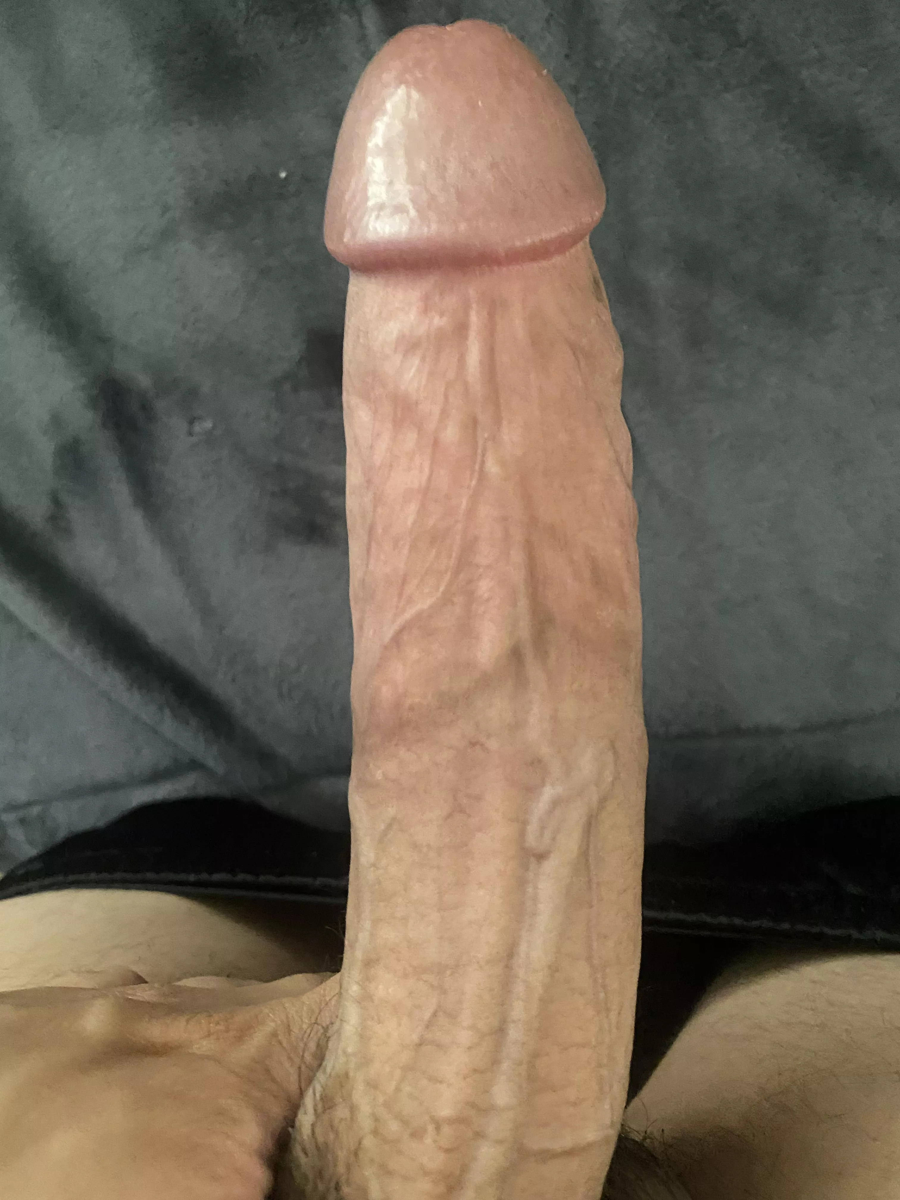 FIT HUNG BULL 8in. 28 5’9 #SOCAL TRAVEL FRIENDLY.