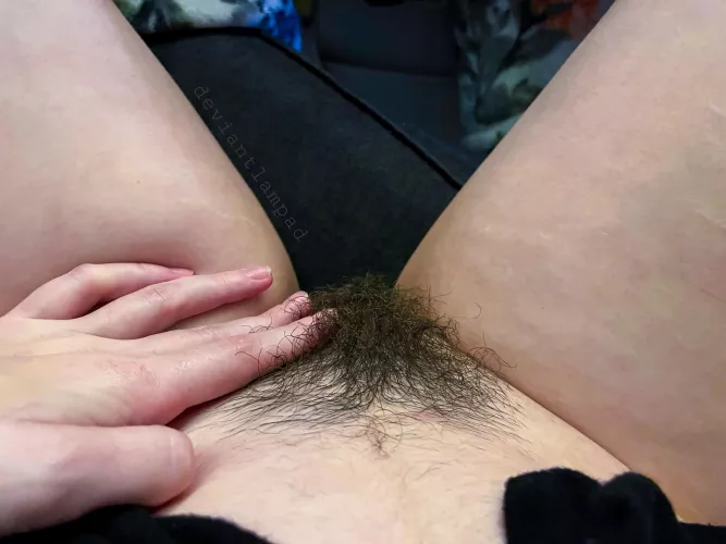 fluffy & soft like a pillow 😇