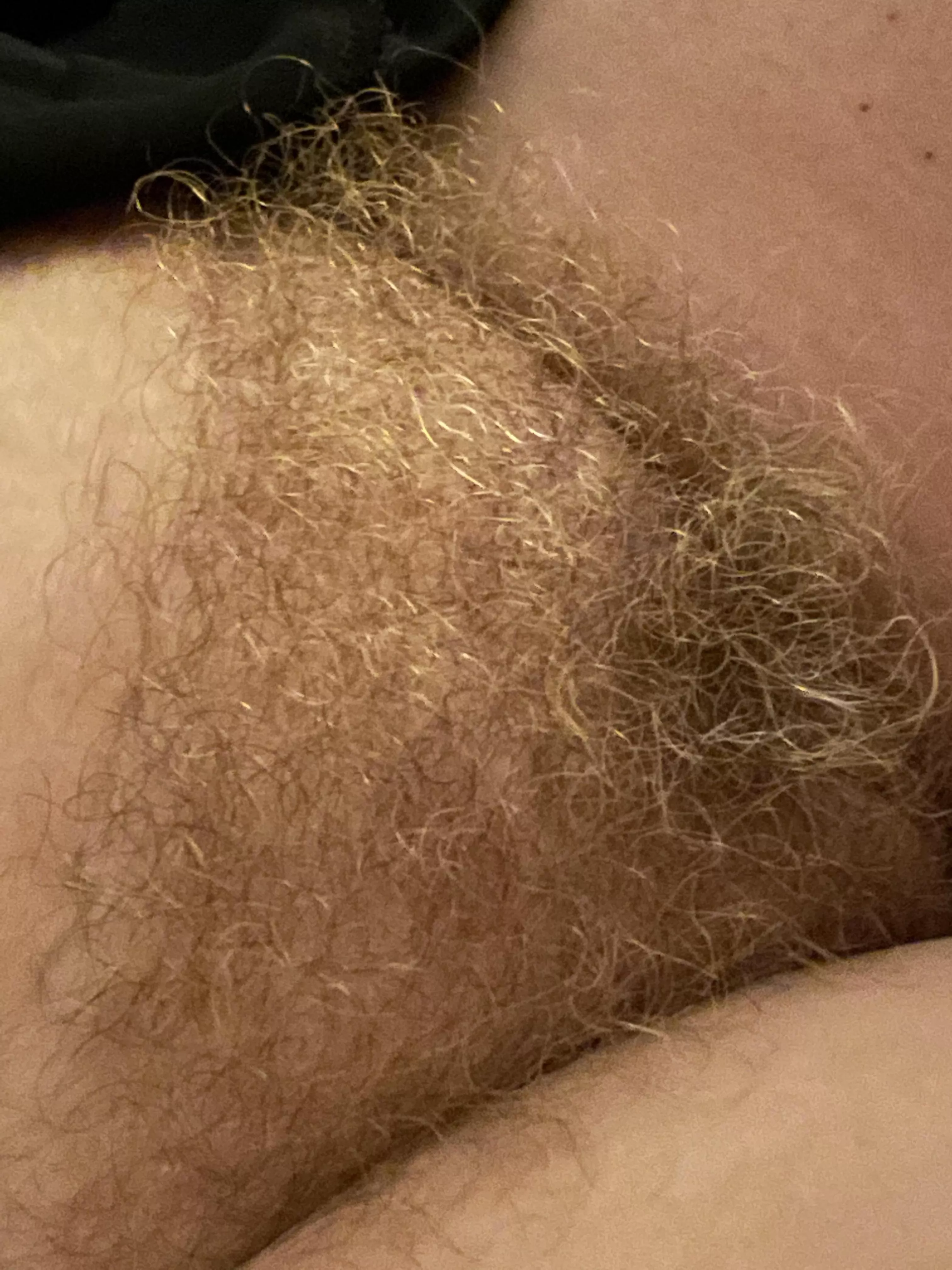 Fresh out of the shower and it’s as soft as it looks.