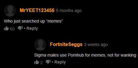 Fuck porn, me and my homies use the hub for memes