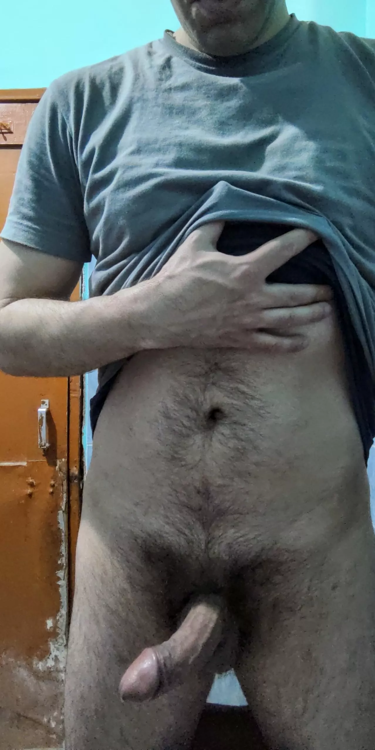 Full view of the bush