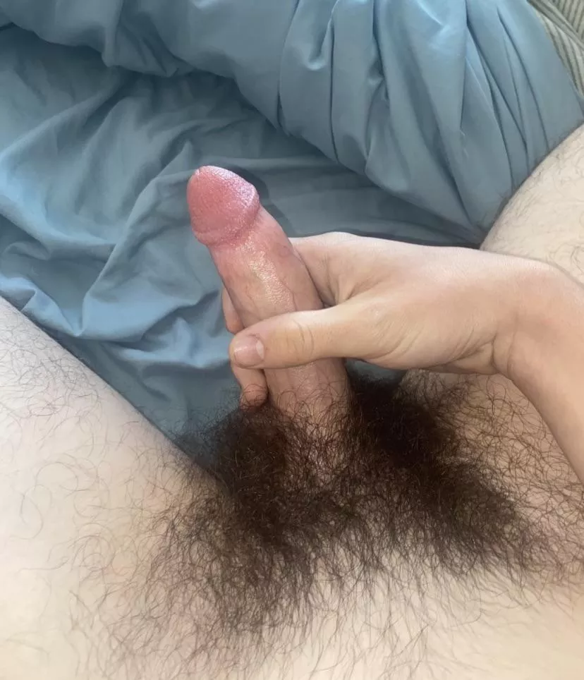 Getting pretty bushy these days