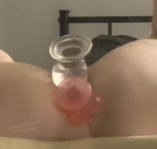 good puppy’s take toys in both holes training to get bred and filled up.