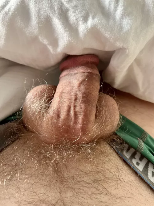 Great morning sun on my nest