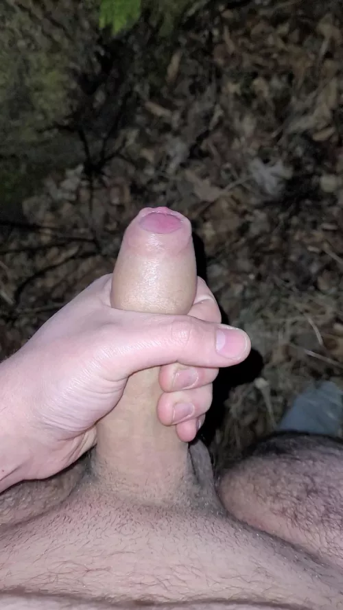 Had a great time in the evening. Pm me if you want to know anything or see more pics
