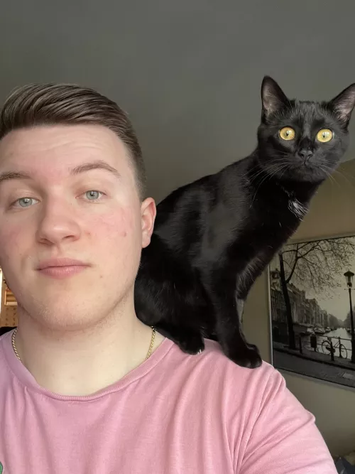 Had to give the kitten a good perch to watch the birds