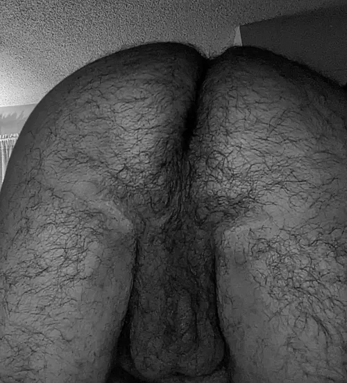 Hairy dad hole