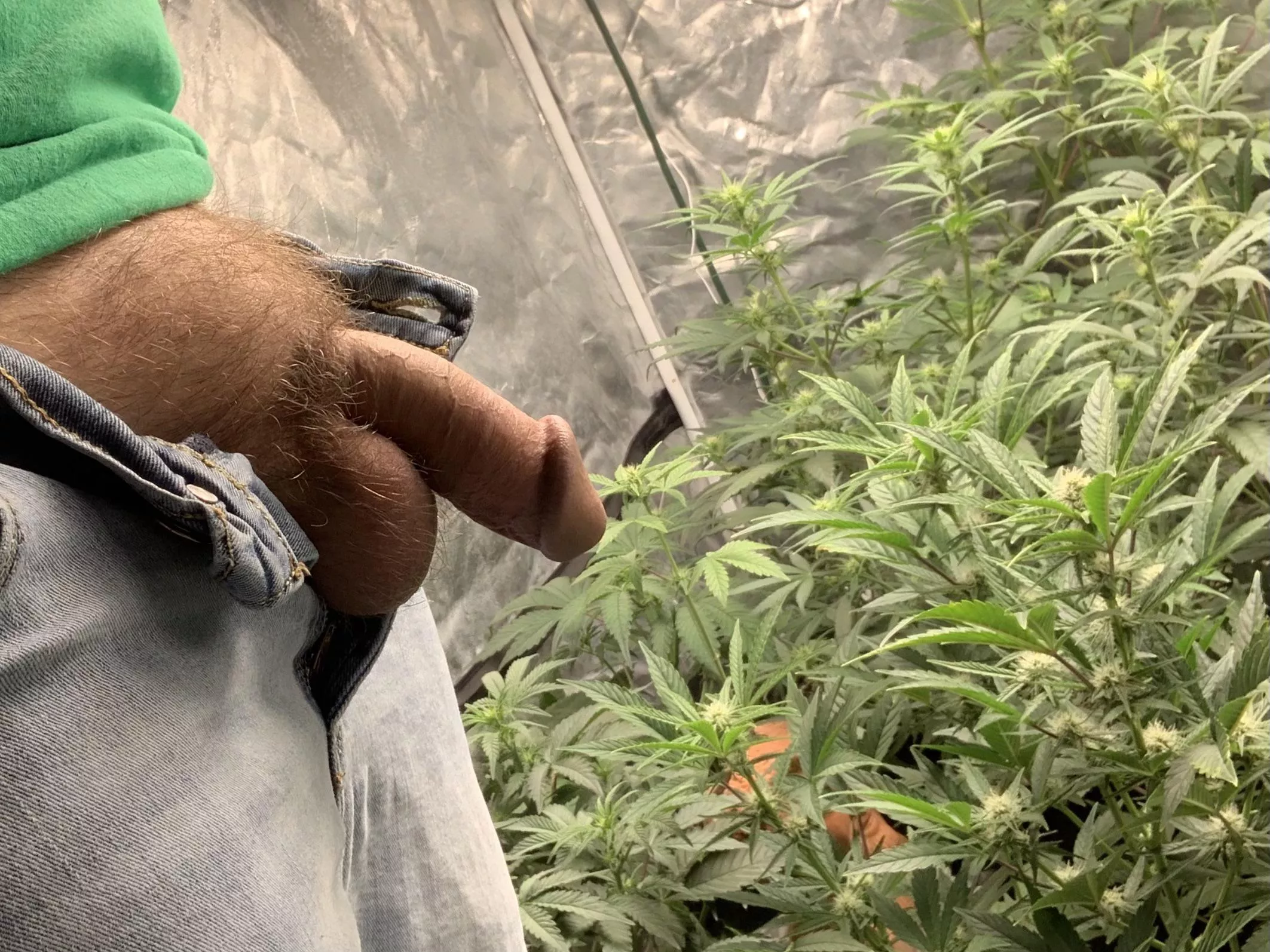 Happy St. Paddy’s Day. Here’s some green and my dick.