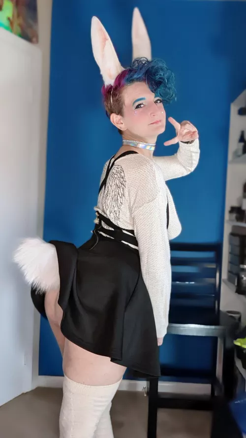 Haru from Beastars (need a wig) 💖