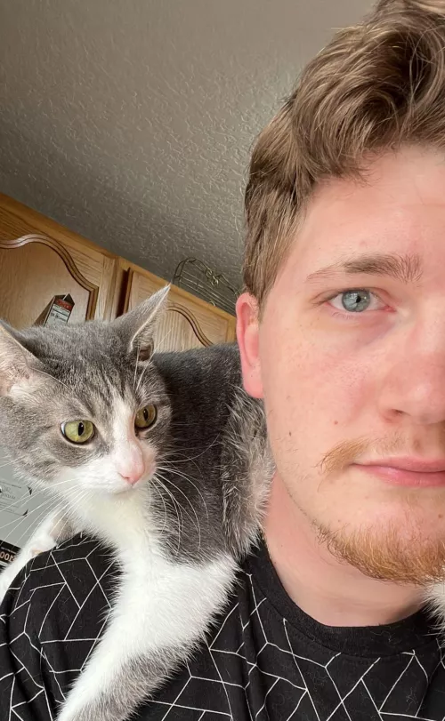 He likes to jump on me from on top of the fridge