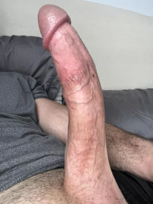 He needs some company. Any takers? Pms open