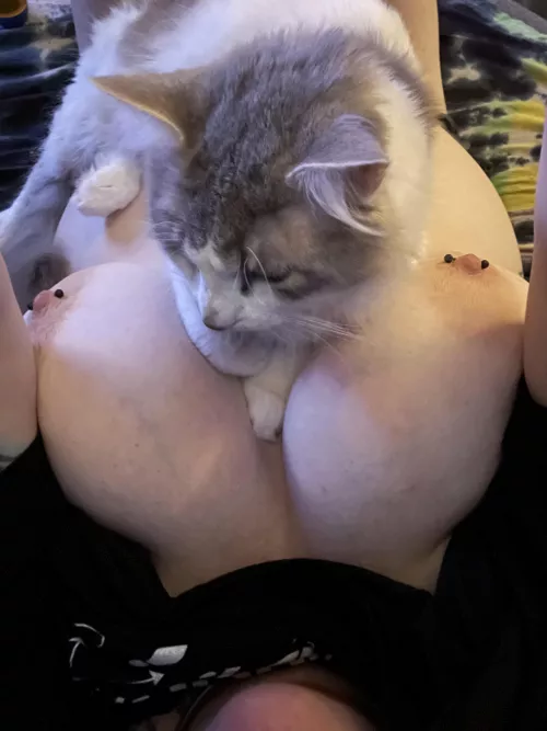 He wouldn’t move for the photo 🤷🏻‍♀️