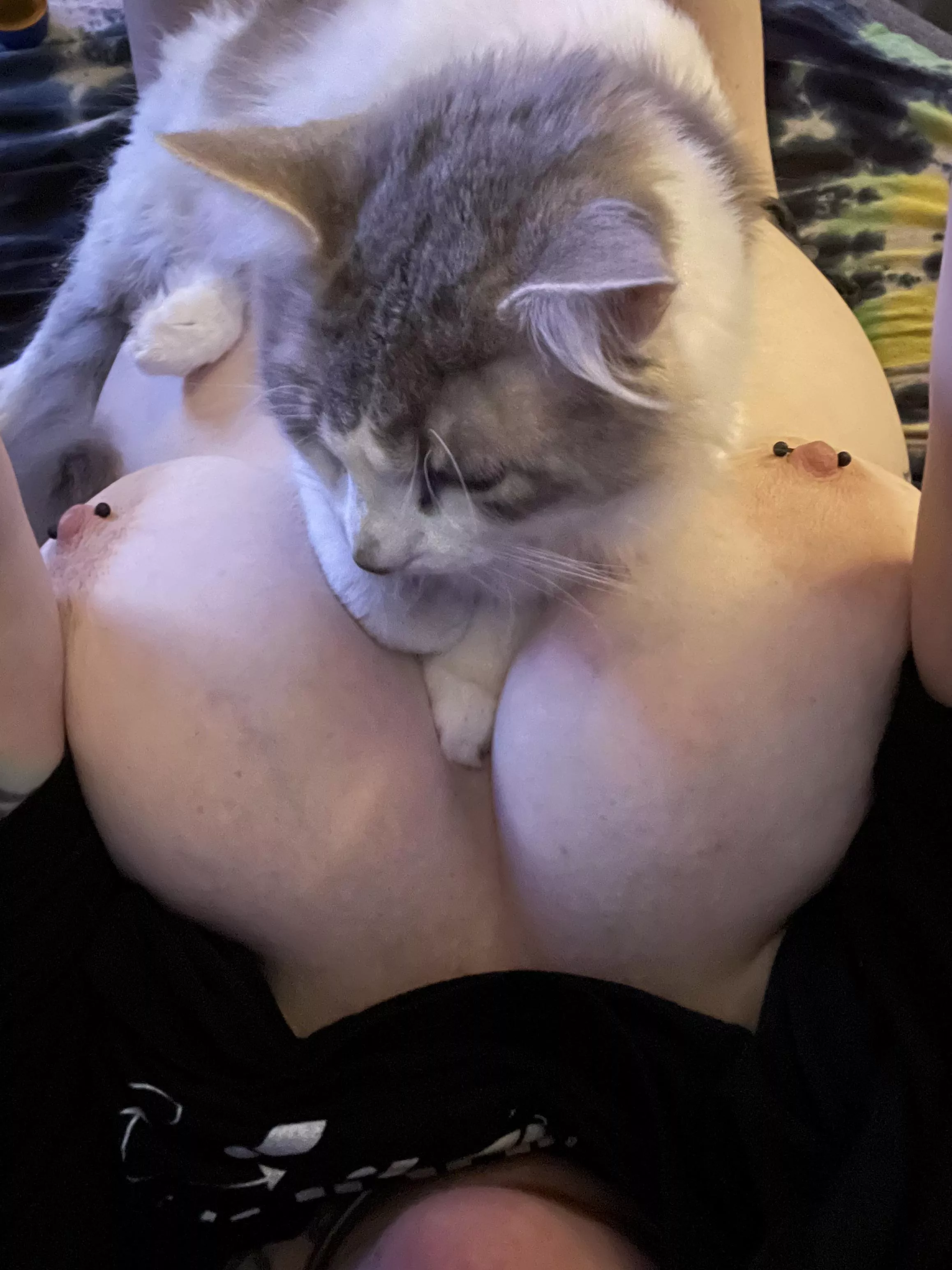 He wouldn’t move for the photo 🤷🏻‍♀️