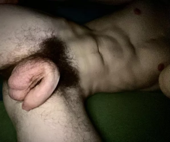 Heavy pubes around a soft uncut dick