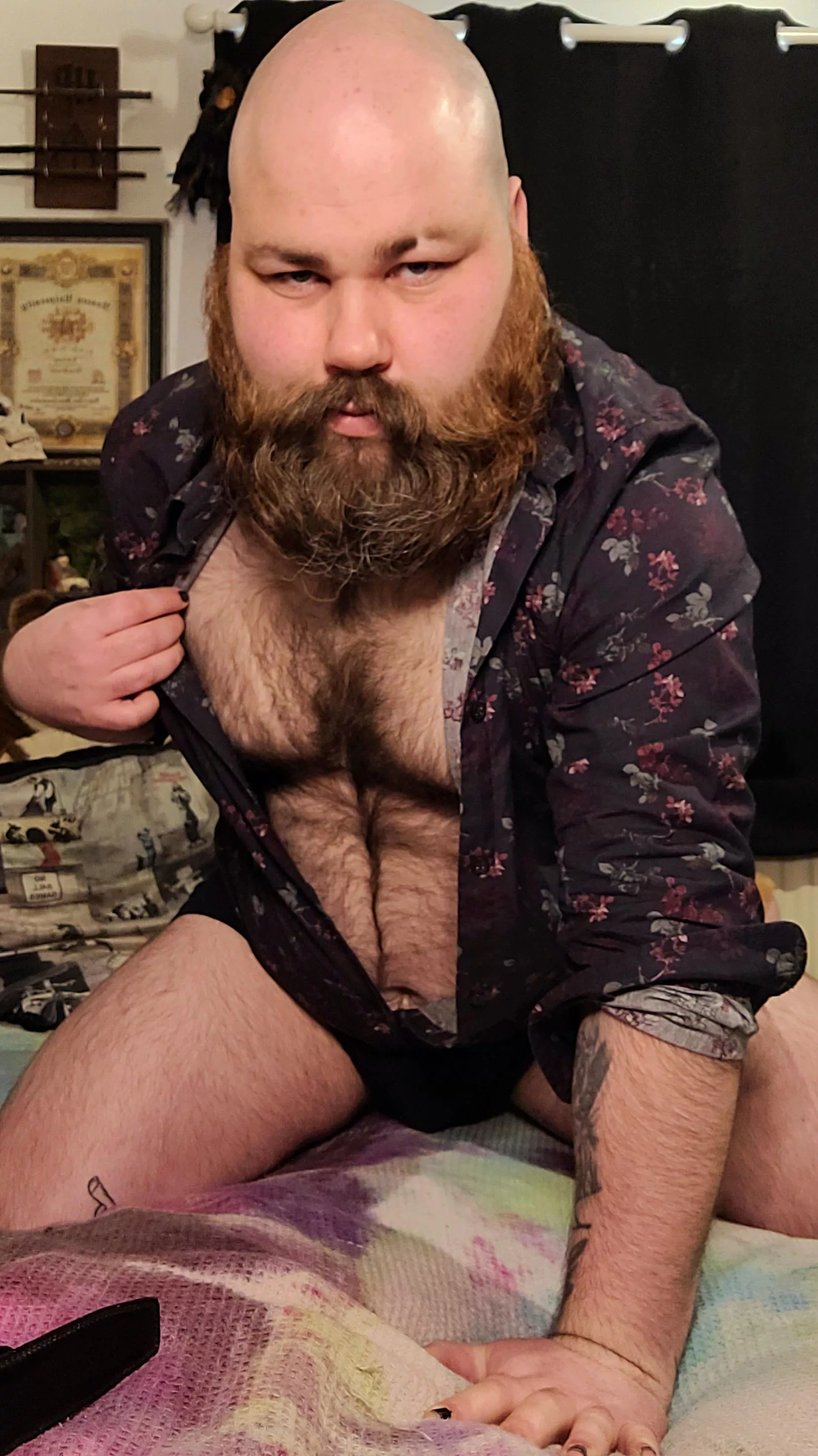 hello boys it's been a while, how do you like your bears? 🐻