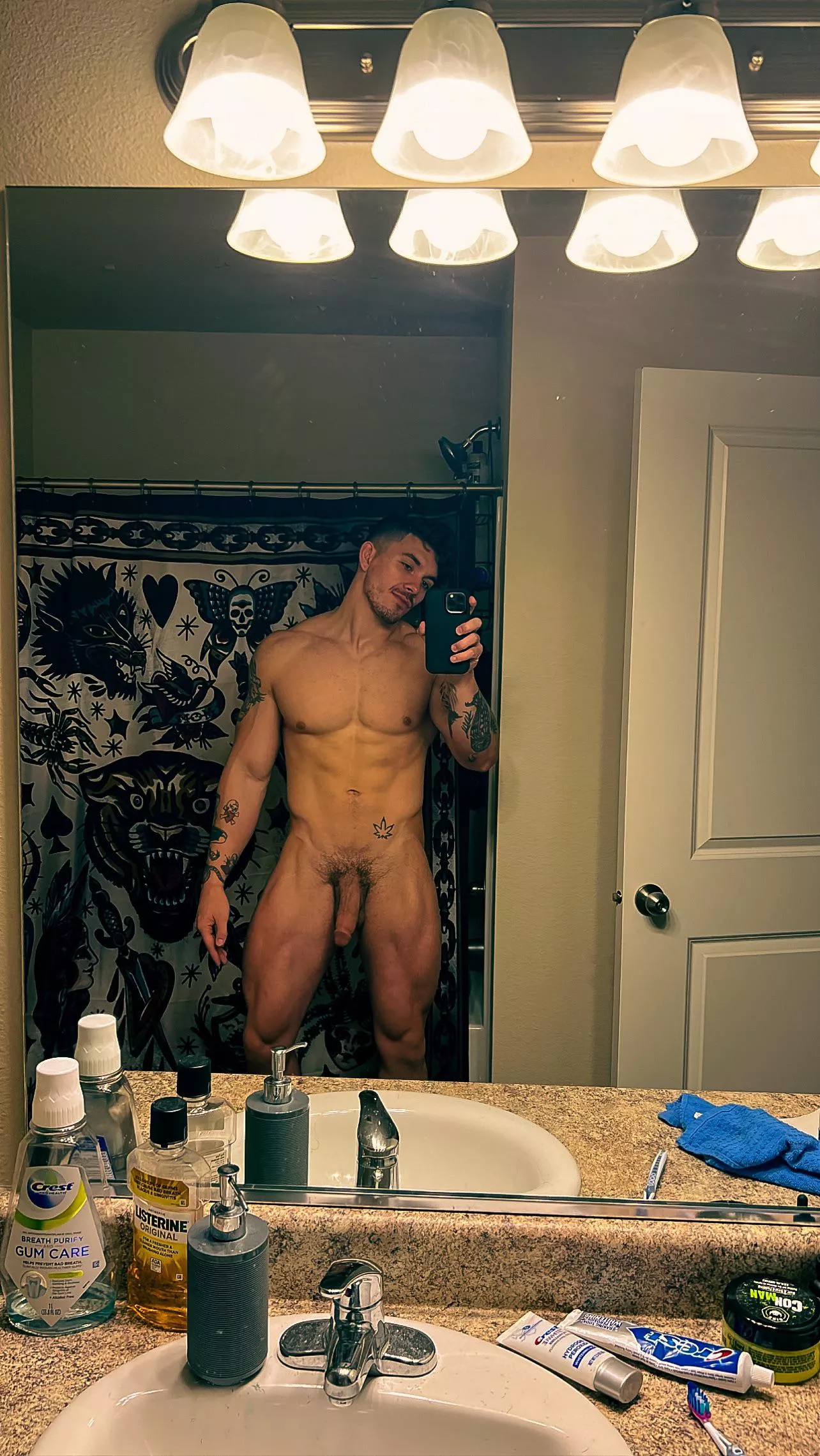 Hello from Washington 🫣