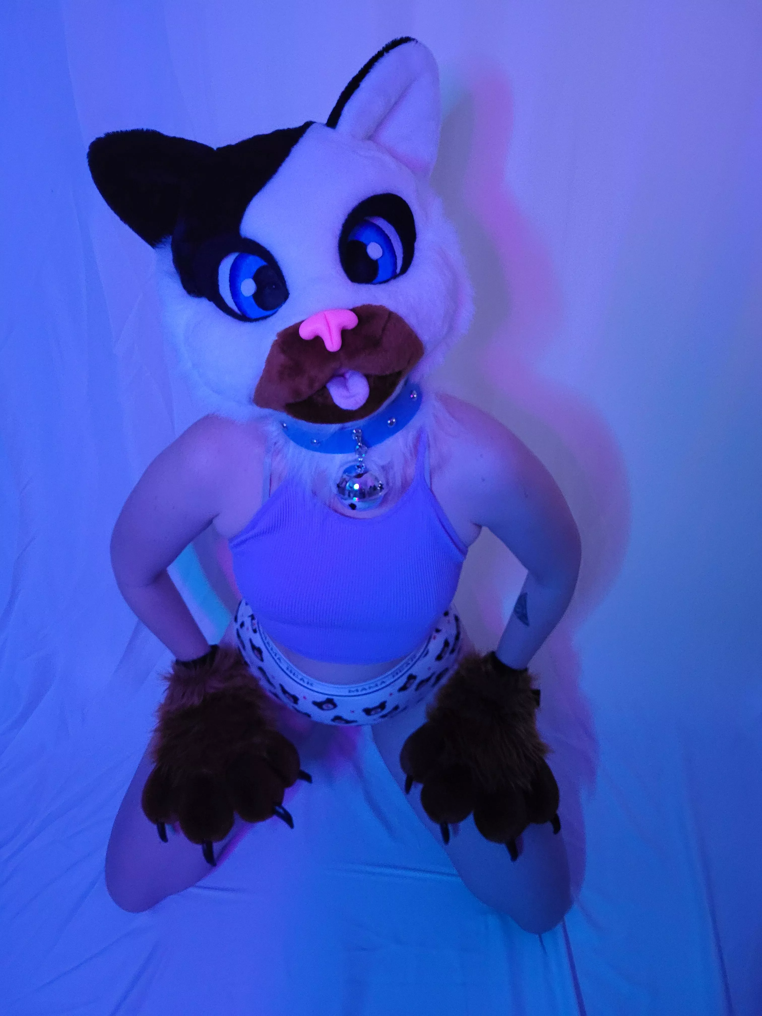 Hello you ! I'ts Charlie 💜😸 I want to play my bell for you !