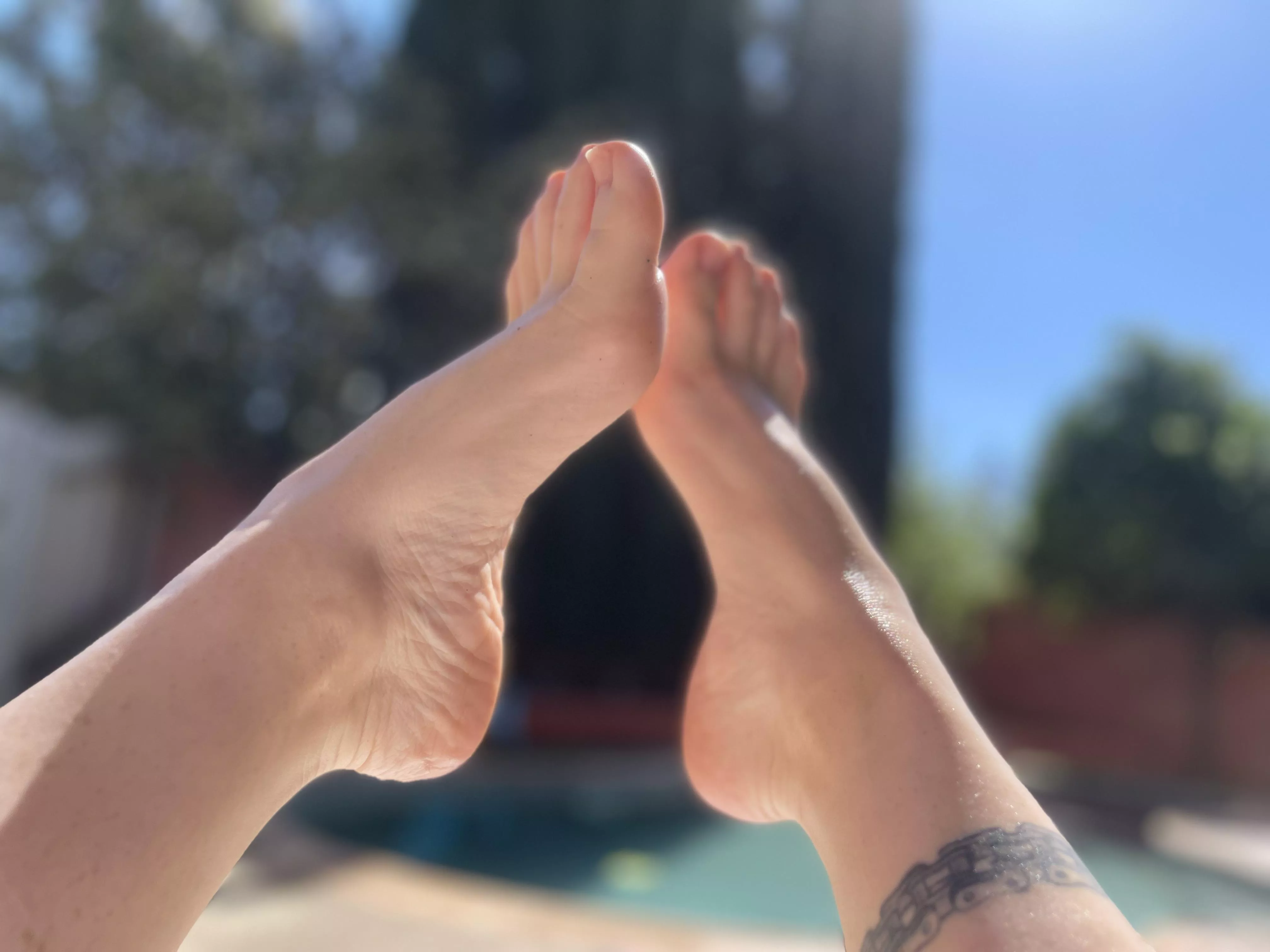 Here’s my feet today poolside tanning with some oils. Let me know if you want more! #softfeet #feet #milffeet