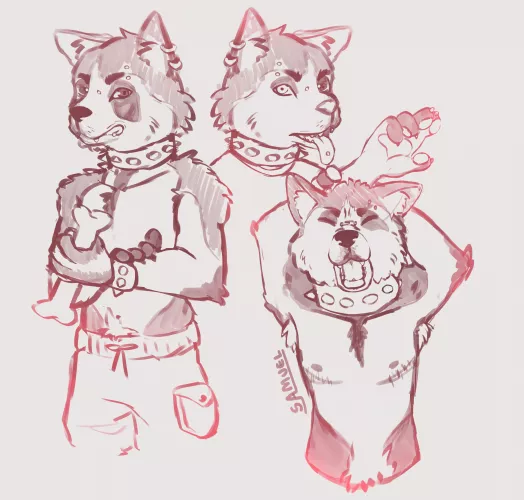 Hi guys! I'm a newbie to furry drawings... So could someone rate my drawing? I would really appreciate it! (not a raccoon over there, but i like them) -🦝