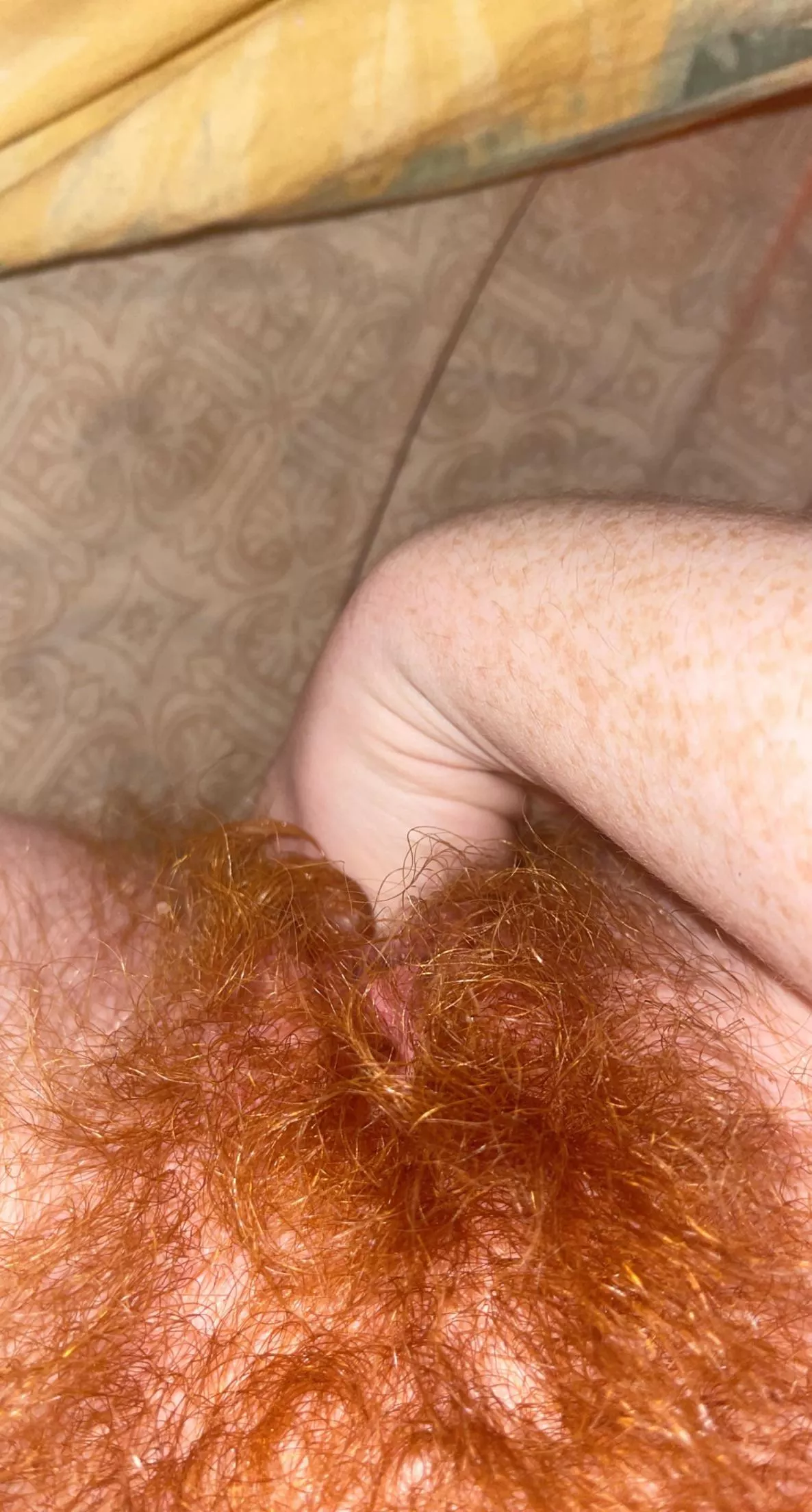 Hi my name is Brook, and I have a giant bush 🥺