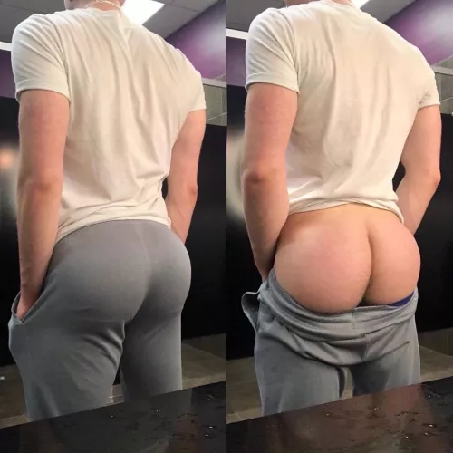 Hidden In Palin Sight.