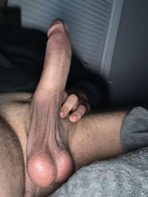 Honest thoughts?