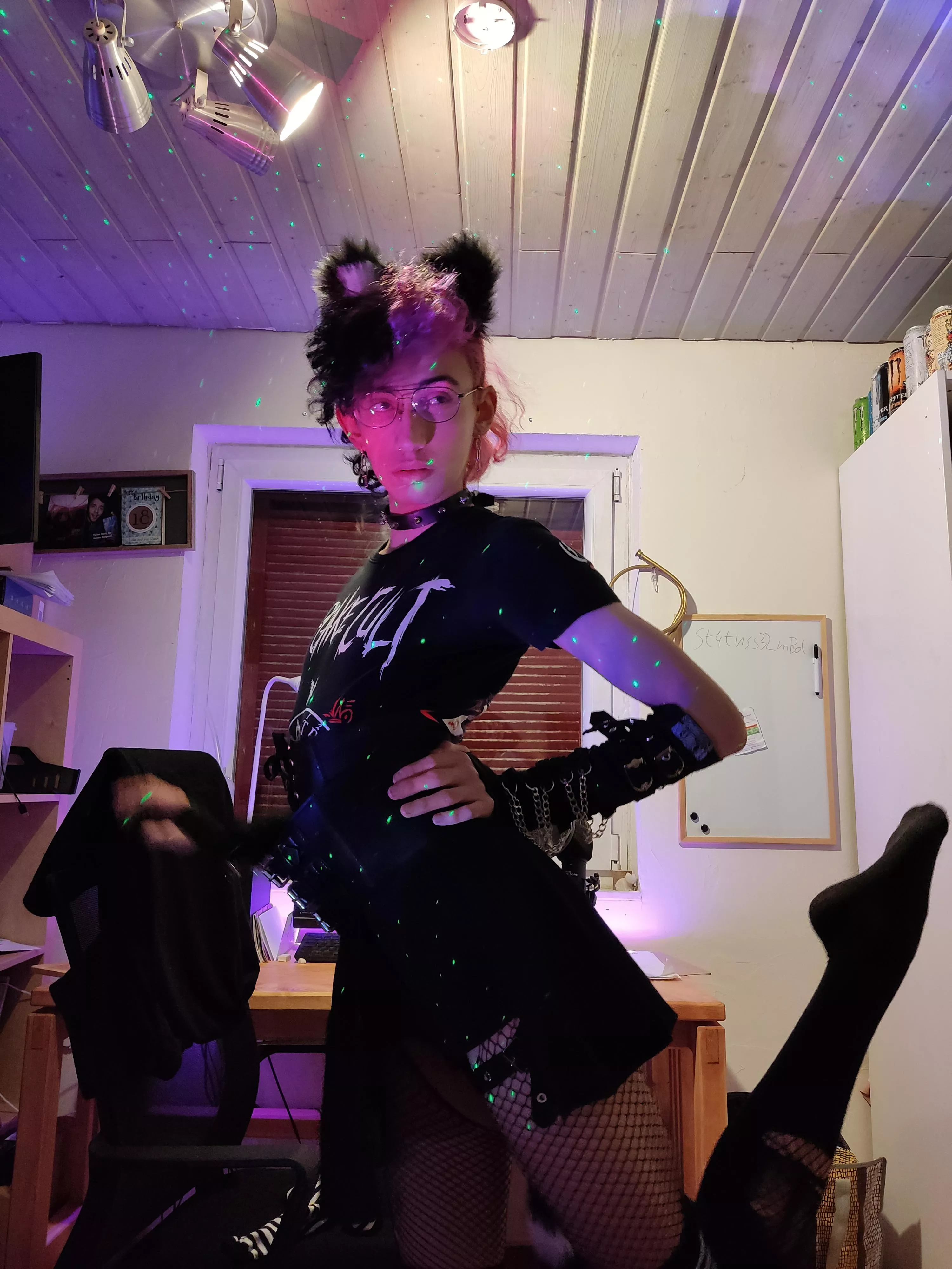 How about a dancing Cat boy? (btw I'm gonna play in Rent in my local Theater and I am exited!!!)