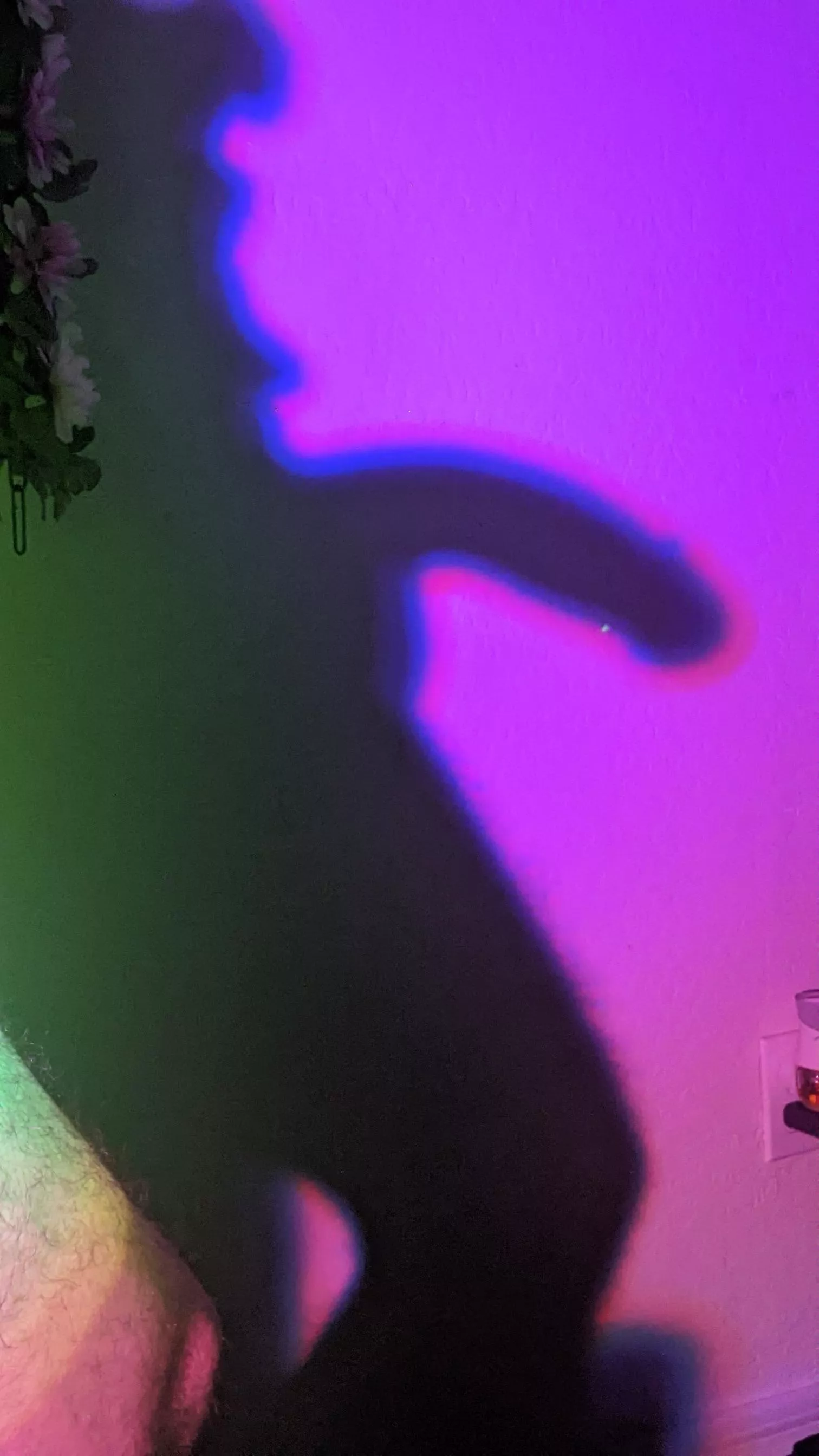 How about we place shadow puppets? I'll be the horse