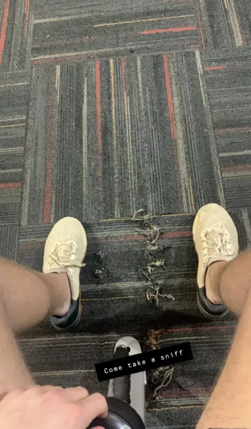 How many licks does it take to get the gym sweat off feet? 🤔 Let’s find out 😈