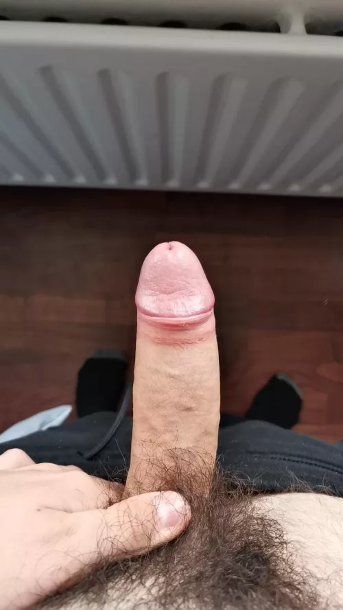 How's it going people(19)