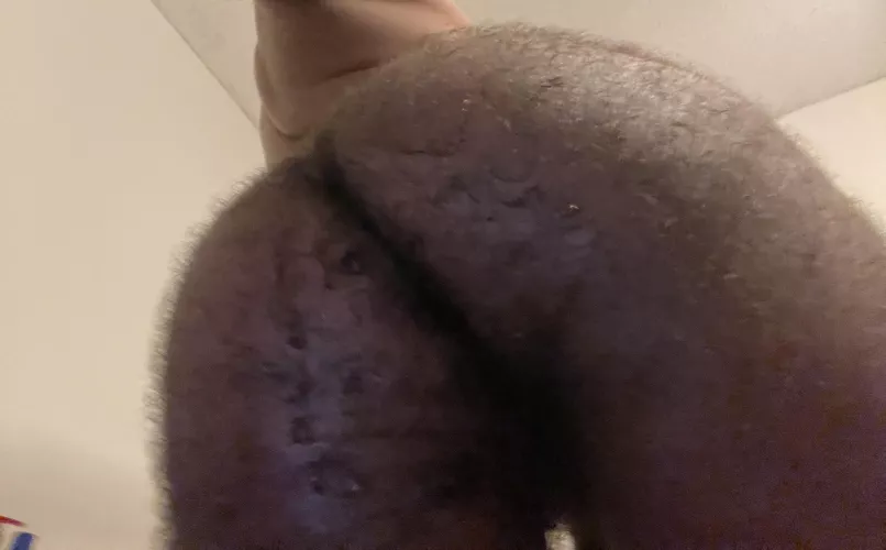How’s my hairy ass when it’s wet?