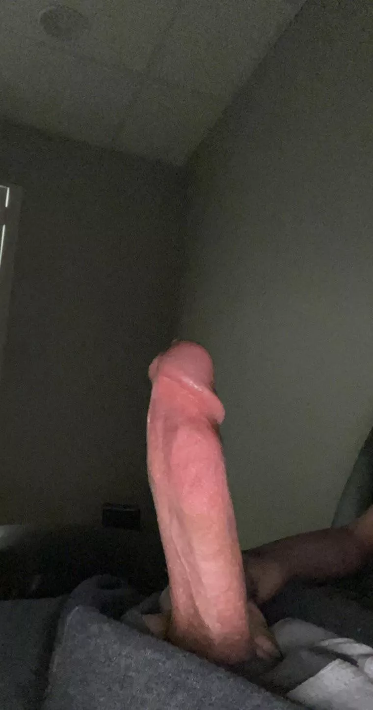 How’s my horny virgin cock?