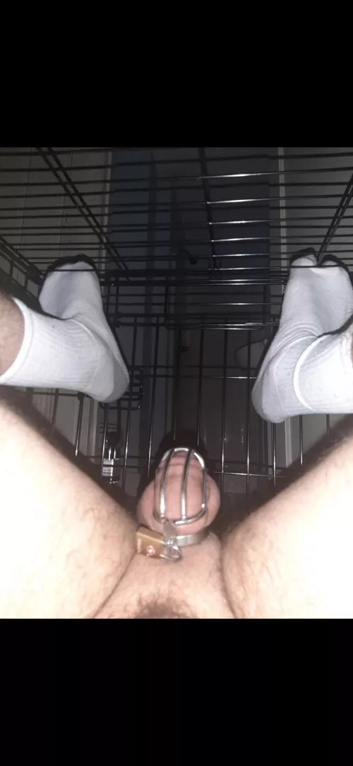 I [24] [M] have been locked in chastity in a dog cage by my master for 3 days so far. AMA