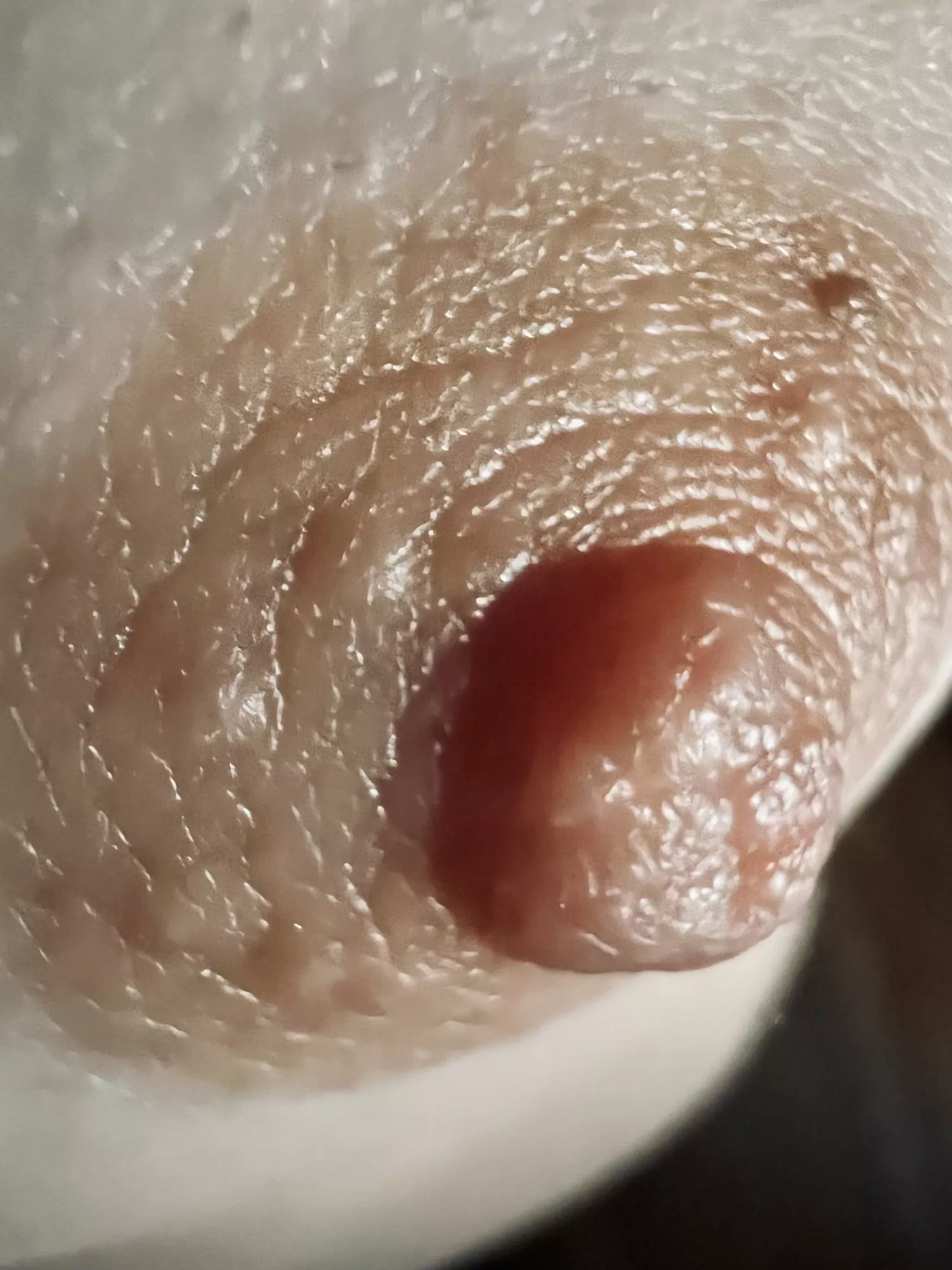 I just discovered the new iPhone does MACRO!!! Here is my macro nipple.