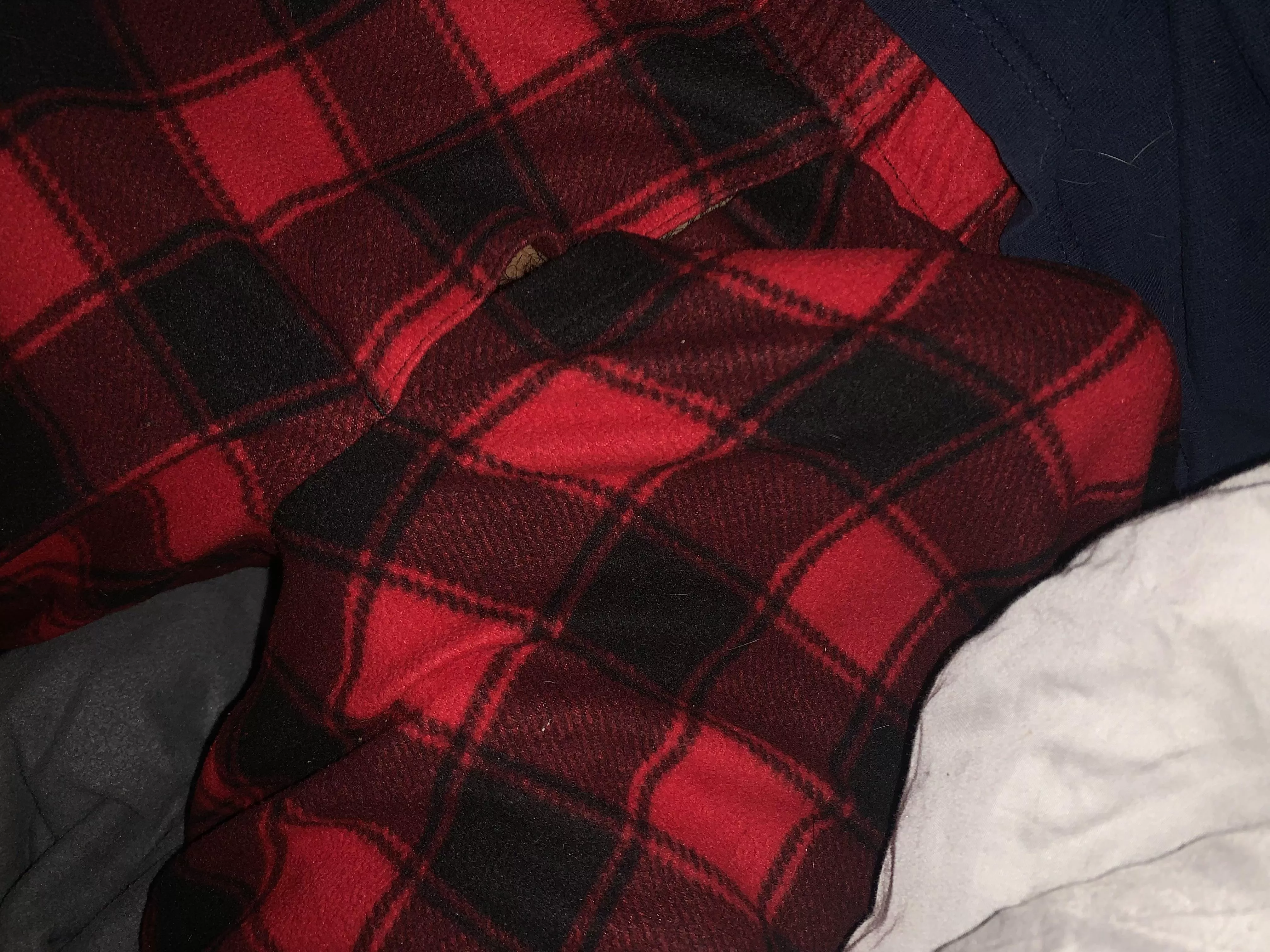 I like plaid do you?