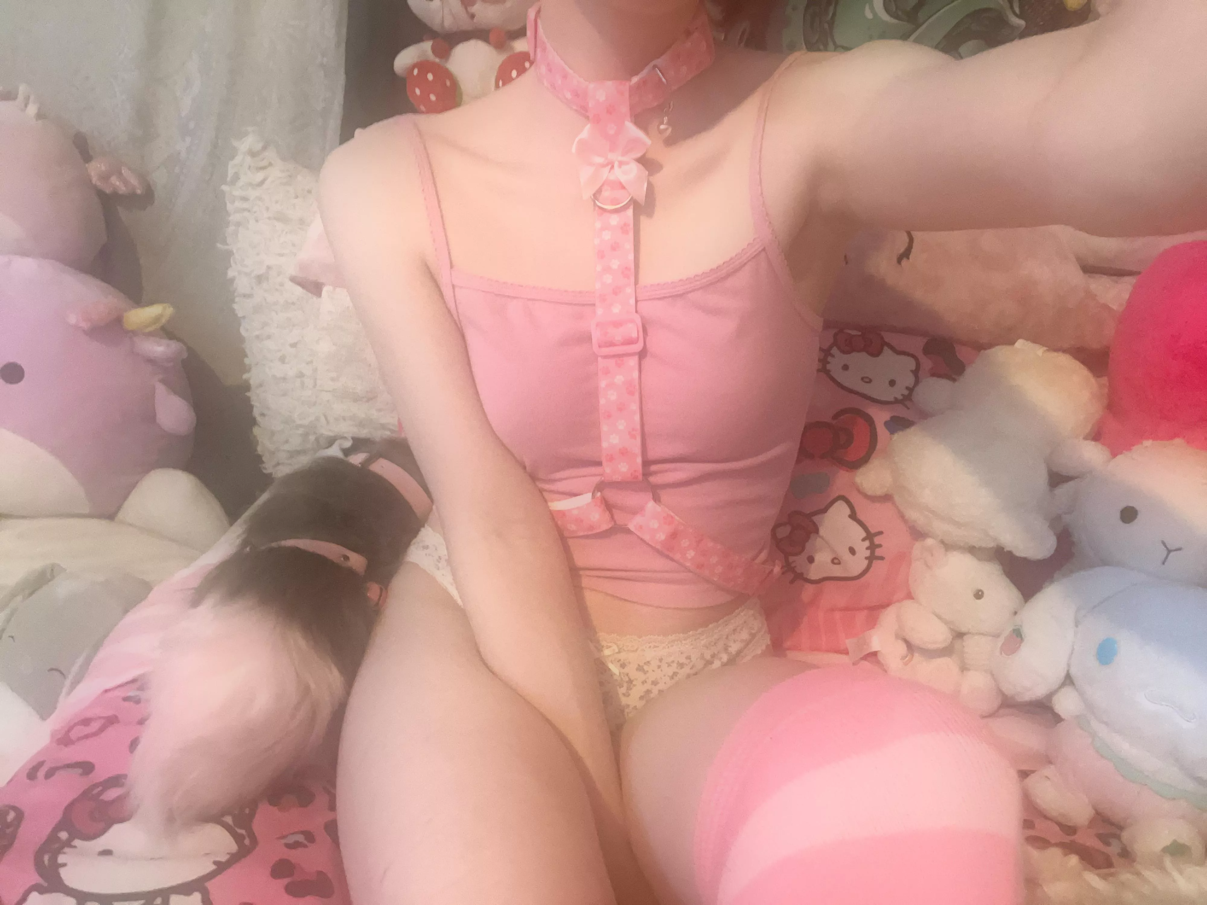 i love being a dumb puppy 🐾🦴