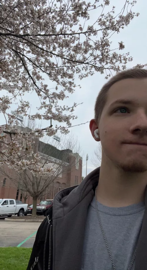 I love the trees that grow around here 😁