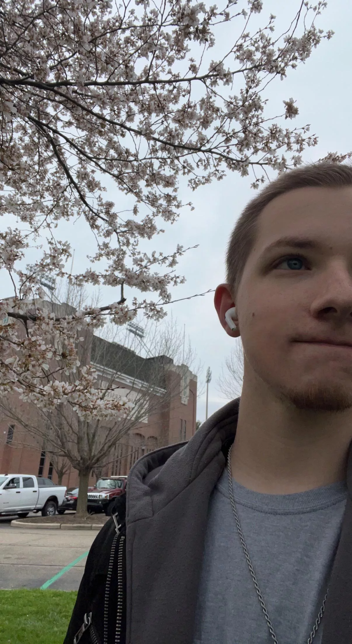 I love the trees that grow around here 😁