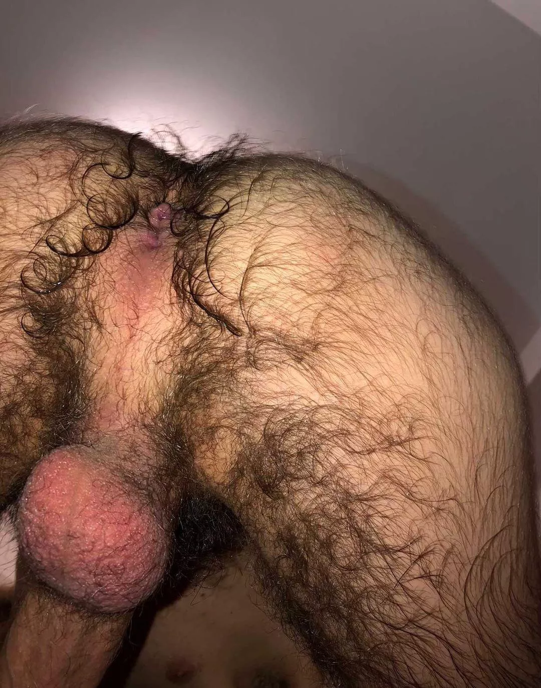 I need someone who wants to ufck my ass