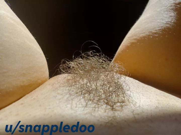 I really like this cute, artsy photo I took of my little bush today 🥰