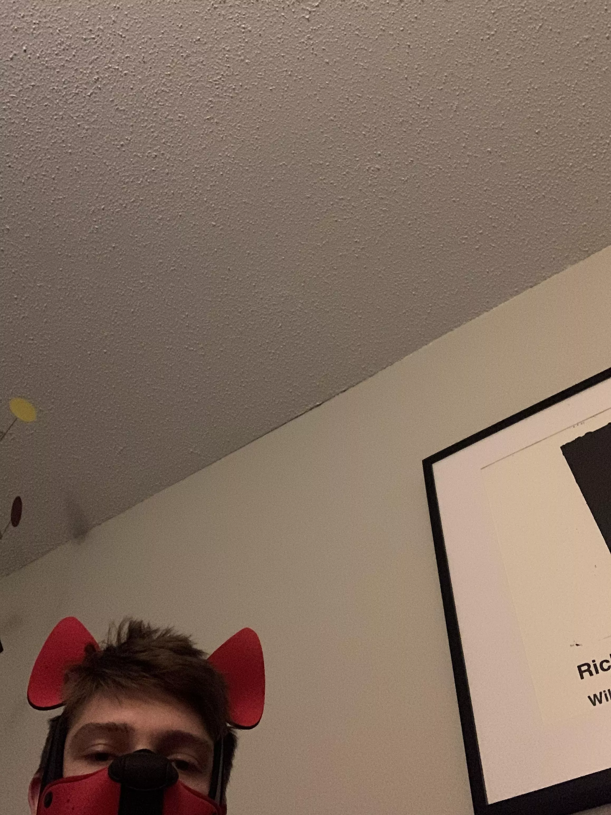 i sent u my bone pls respond