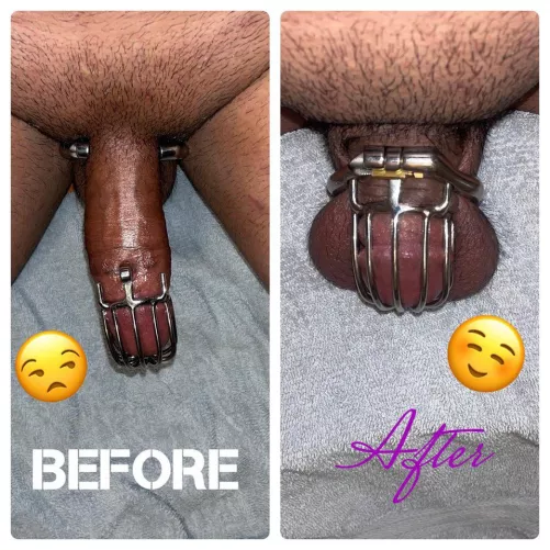 I still can’t believe this cage somehow fit 😌