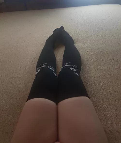 i'll allow you to take a look at my kitties ❤️