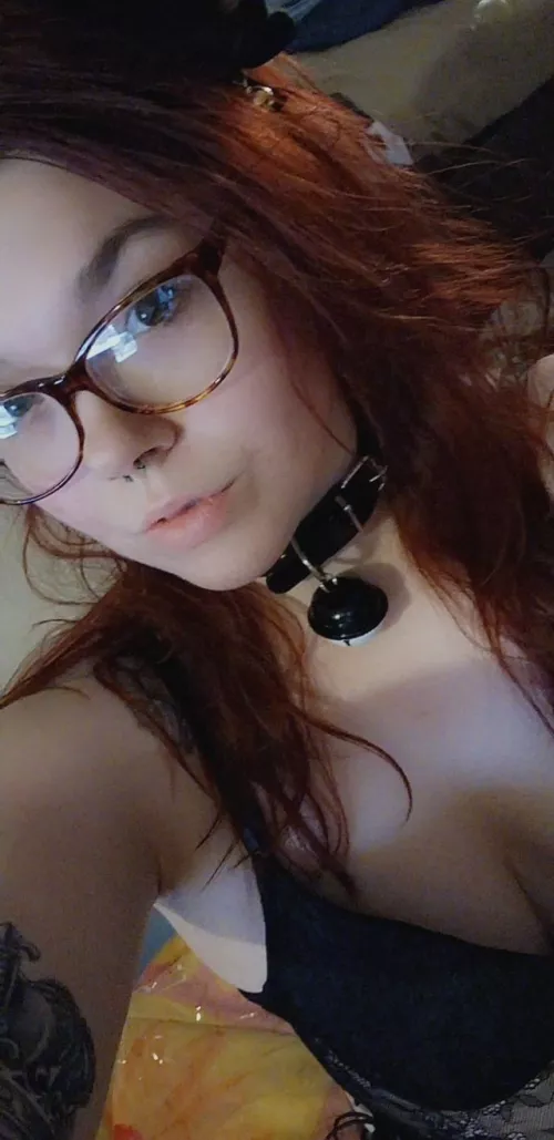 I'll sit and obey for you 😻