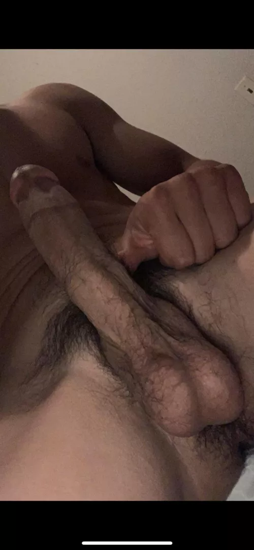I(m) a cut king! I(m) a cut king!