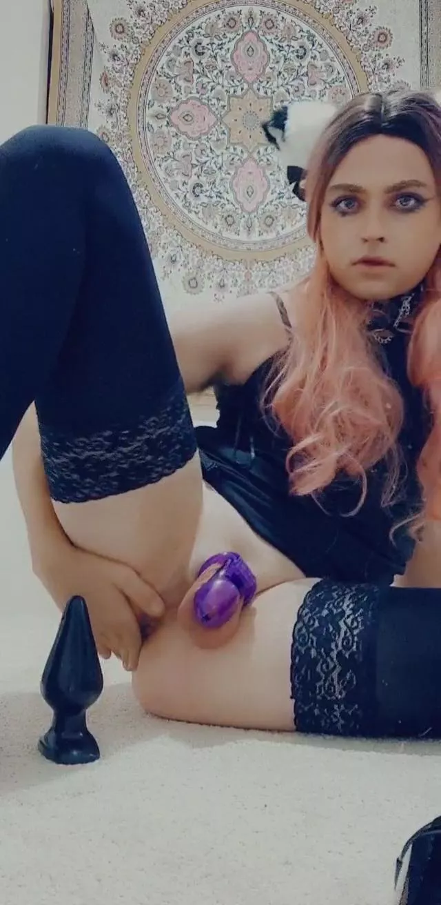 I'm a good little pet I promise😋 Happy to chat!