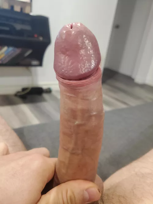 I'[m] stuck at home with Covid, I need entertainment