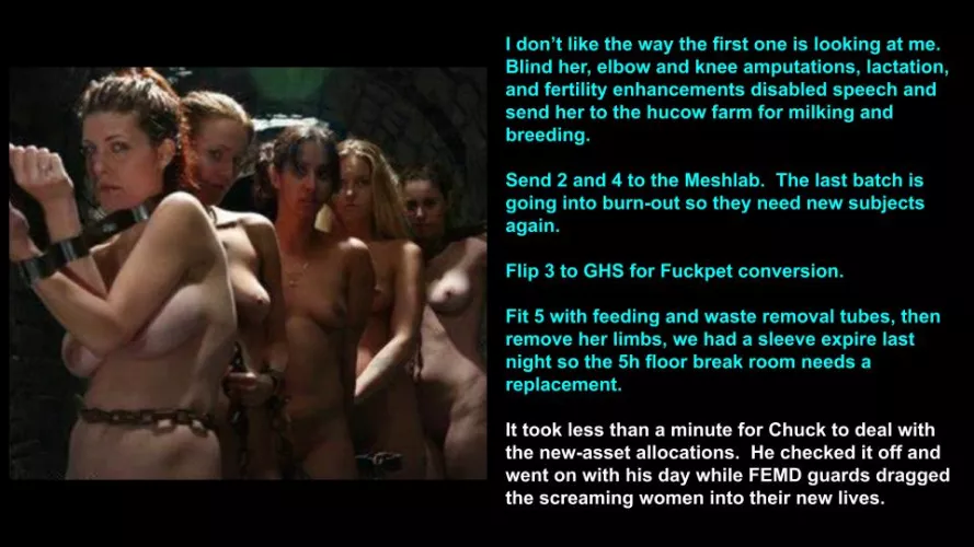 In the basement of FEMD, the Sort is underway